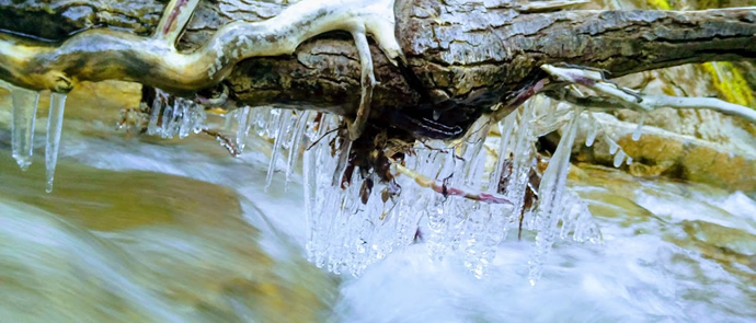 cascata-stoviglie-biocompostabili